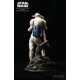 Sideshow Star Wars Luke & Yoda Dagobah Training 1/4 Premium Format